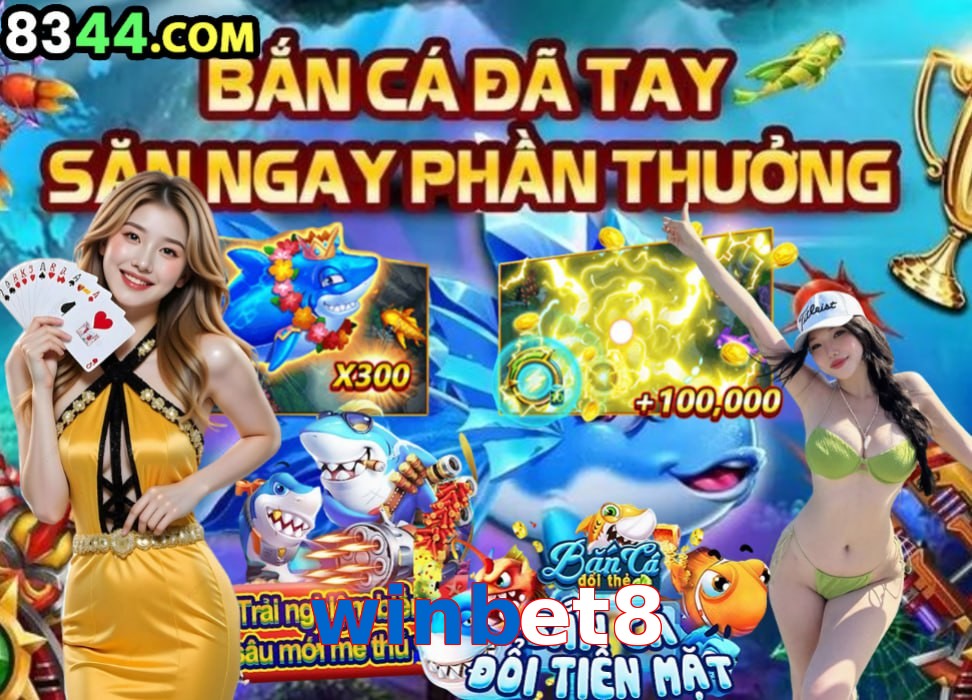 winbet8
